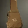 Taylor Guitars 50th Anniversary GS Mini-e Rosewood SB LTD Acoustic Electric Guitar – New