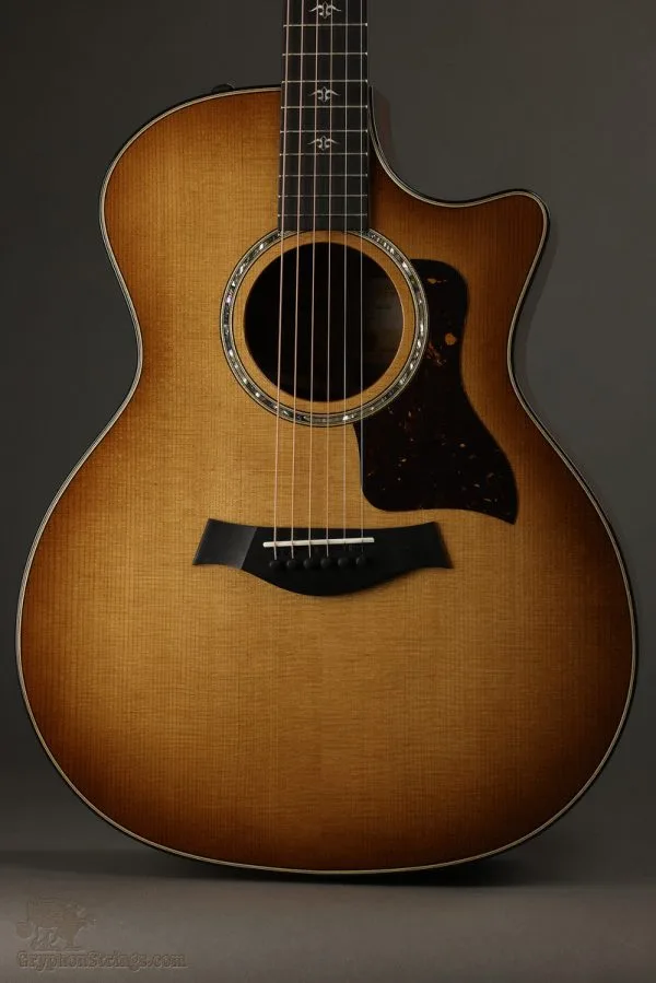 Taylor Guitars 514ce Urban Ironbark Acoustic Electric Guitar New