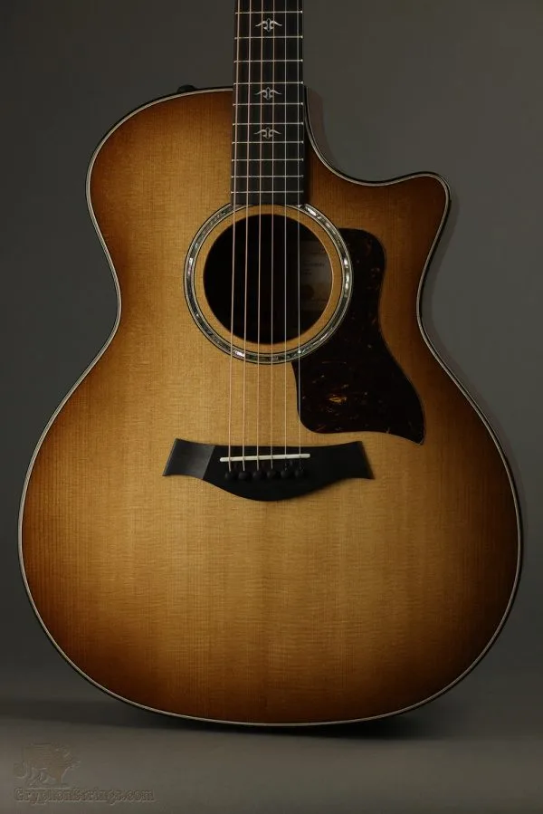 Taylor Guitars 514ce Urban Ironbark Acoustic Electric Guitar New