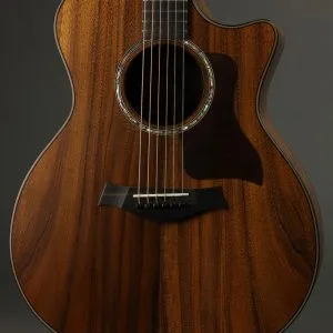 Taylor Guitars 724ce Acoustic Electric Guitar New