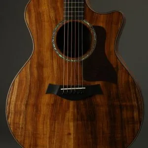 Taylor Guitars 724ce Acoustic Electric Guitar New