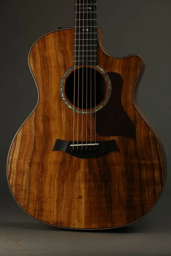 Taylor Guitars 724ce Acoustic Electric Guitar New