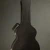 Taylor Guitars 814ce Grand Auditorium Steel String Acoustic Guitar New