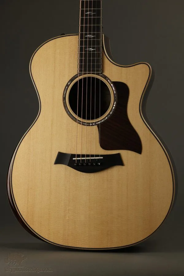 Taylor Guitars 814ce Grand Auditorium Steel String Acoustic Guitar – New