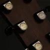 Taylor Guitars 814ce Grand Auditorium Steel String Acoustic Guitar – New