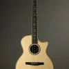 Taylor Guitars 814ce-N Nylon String Acoustic Electric Guitar New