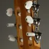 Taylor Guitars 814ce-N Nylon String Acoustic Electric Guitar New