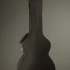 Taylor Guitars 814ce-N Nylon String Acoustic Electric Guitar New
