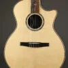 Taylor Guitars 814ce-N Nylon String Acoustic Electric Guitar – New
