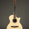 Taylor Guitars 814ce-N Nylon String Acoustic Electric Guitar – New