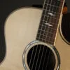 Taylor Guitars 814ce-N Nylon String Acoustic Electric Guitar – New