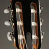 Taylor Guitars 814ce-N Nylon String Acoustic Electric Guitar – New