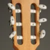 Taylor Guitars 814ce-N Nylon String Acoustic Electric Guitar – New