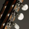 Taylor Guitars 814ce-N Nylon String Acoustic Electric Guitar – New