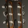 Taylor Guitars Academy 12-N Grand Concert Nylon String Acoustic Guitar New