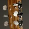 Taylor Guitars Academy 12-N Grand Concert Nylon String Acoustic Guitar New