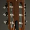 Taylor Guitars Academy 12-N Grand Concert Nylon String Acoustic Guitar – New
