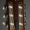 Taylor Guitars Academy 12e-N Nylon String Acoustic Guitar New