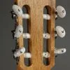 Taylor Guitars Academy 12e-N Nylon String Acoustic Guitar New
