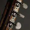 Taylor Guitars Academy 12e-N Nylon String Acoustic Guitar New