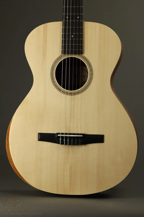 Taylor Guitars Academy 12e-N Nylon String Acoustic Guitar – New