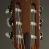 Taylor Guitars Academy 12e-N Nylon String Acoustic Guitar – New