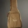Taylor Guitars Academy 20e Steel String Acoustic Dreadnought Guitar New