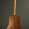 Taylor Guitars Baby Mahogany (BT2) Steel String Acoustic Guitar New
