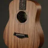 Taylor Guitars Baby Mahogany (BT2) Steel String Acoustic Guitar – New