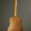 Taylor Guitars Baby Mahogany (BT2e) Acoustic Electric Guitar New