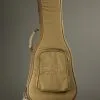 Taylor Guitars Baby Mahogany (BT2e) Acoustic Electric Guitar New