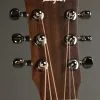 Taylor Guitars Baby Taylor (BT1) Steel string Acoustic Guitar New
