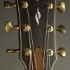 Taylor Guitars Builder’s Edition 814ce Acoustic Electric Guitar New