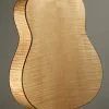 Taylor Guitars Custom Aged Maple Grand Pacific Acoustic Electric Guitar New
