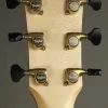 Taylor Guitars Custom Aged Maple Grand Pacific Acoustic Electric Guitar New
