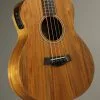 Taylor Guitars GS Mini-e Koa Bass Acoustic Bass New