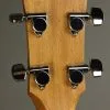 Taylor Guitars GS Mini-e Koa Bass Acoustic Bass New