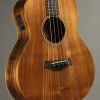Taylor Guitars GS Mini-e Koa Bass Acoustic Bass New