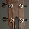 Taylor Guitars GS Mini-e Koa Bass Acoustic Bass New