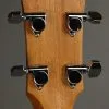 Taylor Guitars GS Mini-e Koa Bass Acoustic Bass New