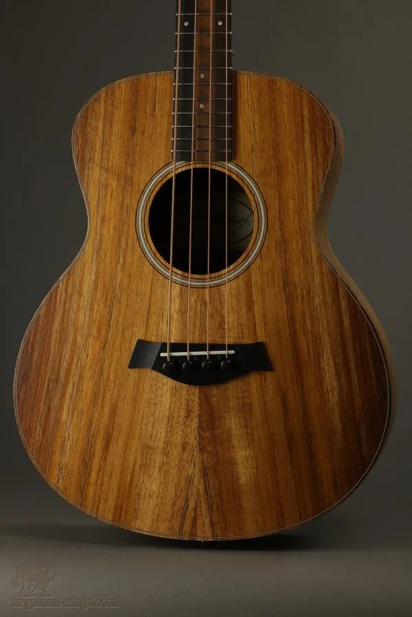 Taylor Guitars GS Mini-e Koa Bass Acoustic Bass – Parent