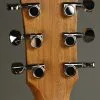 Taylor Guitars GS Mini Rosewood Steel String Acoustic Guitar New
