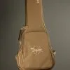 Taylor Guitars GS Mini Sapele Acoustic Guitar – New