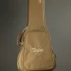 Taylor Guitars GS Mini Special Edition Caramel Burst New