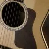 Taylor Guitars GT 811e Acoustic Electric Guitar New