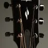 Taylor Guitars GT 811e Acoustic Electric Guitar New