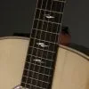 Taylor Guitars GT 811e Acoustic Electric Guitar New