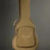Taylor Guitars T5z Classic Semi-Hollow Electric New