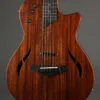 Taylor Guitars T5z Classic Semi-Hollow Electric – New