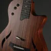 Taylor Guitars T5z Classic Semi-Hollow Electric – New